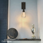 Novelle Wall Sconce