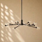 Apollos Round Chandelier - 47’’ / Bronze
