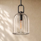 Botanical Cloche Pendant 5’’ 8’’ 10’’ - 8’’ D / Matte Black