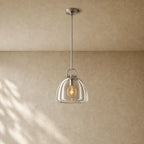 Botanical Dome Pendant - 11’’ D / Nickle