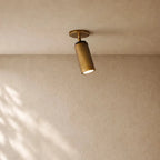 Chempuax Flushmount 9’’H - Lacquered Burnished Brass