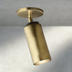 Chempuax Pivoting Flushmount 9" - fovolighting