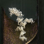 Gingko Combination Chandelier - fovolighting