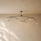 Liliy Clear Glass Round Chandelier