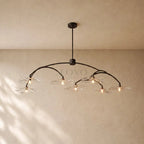 Liliy Clear Glass Round Chandelier