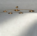 Lily Smoke Glass Flushmount - fovolighting