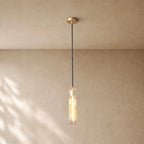 Tronchy Glass Pendant - Lacquered Burnished Brass / Clear