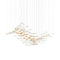 Veloria Fluid Chandelier - fovolighting